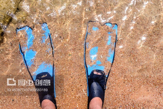 穿足脚蹼，一跃入海 探索水下的自由与沉静